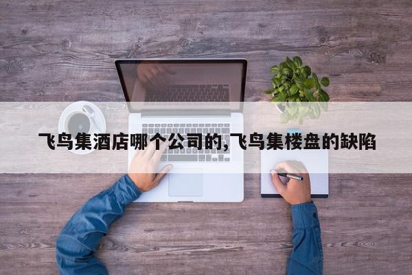 飞鸟集酒店哪个公司的,飞鸟集楼盘的缺陷
